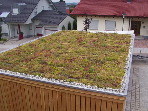 Carportbegrünung, Garagenbegrünung, www.Schäfer-Dachbegrünung.de
