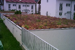 Garagenbegrünung www.Dachbegrünung-Schäfer.de