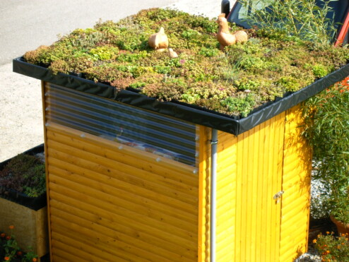 Gartenhaus Gründach Ökodach Grasdach Geräteschuppen www.Schäfer-Dachbegrünung.de