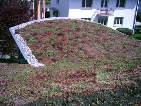 Tonnendach Dachbegrünung GreenBox Schrägdachbegrünung www.Schäfer-Dachbegrünung.de