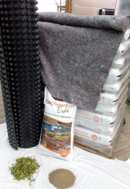 Selbstbau‑Gründach mit Sedum‑Matten, effizientem Wassermanagement und unkomplizierter Installation.