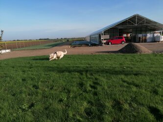 Nachhaltiger Familienbetrieb für Dachbegrünung mit eigener Pflanzenproduktion; moderner Standort mit Gewächshaus, Solarstrom‑Nutzung und regional kultivierten Sedum‑ und Staudenpflanzen.