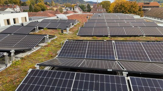 Extensive Dachbegrünung unter PV‑Modulen, klimaresistente Pflanzen fördern Effizienz und Langlebigkeit der Solaranlage für nachhaltige Gebäudetechnik.