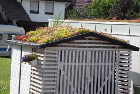 Sedumdach als einfaches Selbstbau-System: leichte Komponenten, schnelle Verlegung und sofortige Begrünung durch vorkultivierte Sedum-Matten.
