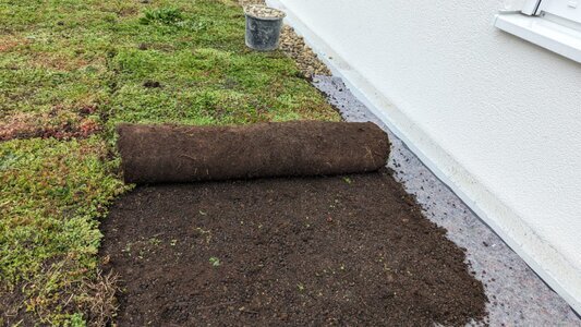 Mit Vegetationsmatten hat man gleich eine Flächedeckende Vegetation.